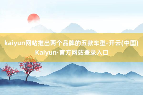 kaiyun网站推出两个品牌的五款车型-开云(中国)Kaiyun·官方网站登录入口