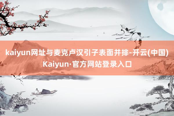 kaiyun网址与麦克卢汉引子表面并排-开云(中国)Kaiyun·官方网站登录入口
