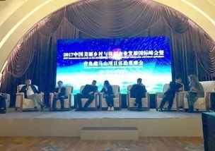 中冶賽迪發(fā)布美麗鄉(xiāng)村建設(shè)新產(chǎn)品