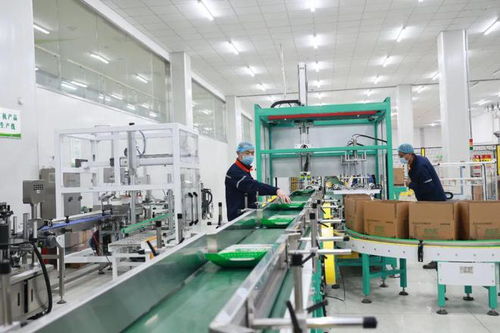 深耕品牌建設,食品集團打造踐行大食物觀先行地