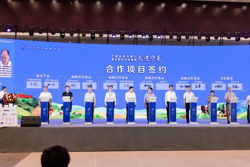 技術(shù)創(chuàng)新 品牌建設(shè)加持 助力寧夏農(nóng)業(yè)綠色發(fā)展