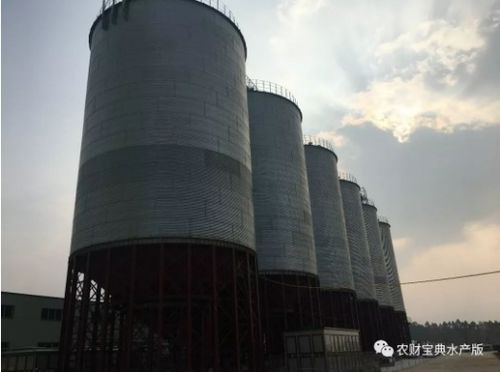 投2億元建30萬(wàn)噸大飼料廠 開(kāi)業(yè)當(dāng)天就鎖定6萬(wàn)噸銷量 匯海進(jìn)入大爆發(fā)快車道